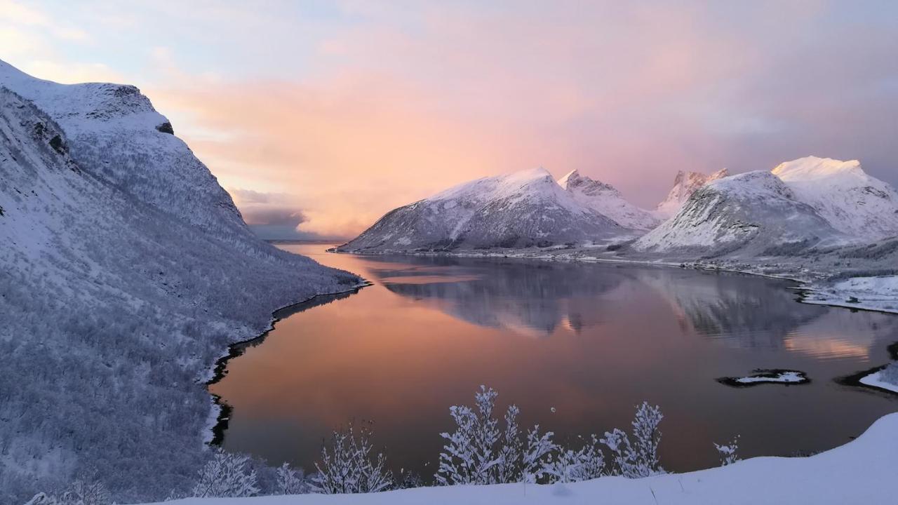 Hotel Hamn I Senja Exteriér fotografie