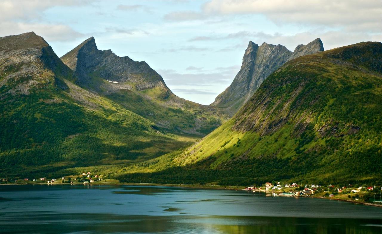 Hotel Hamn I Senja Exteriér fotografie