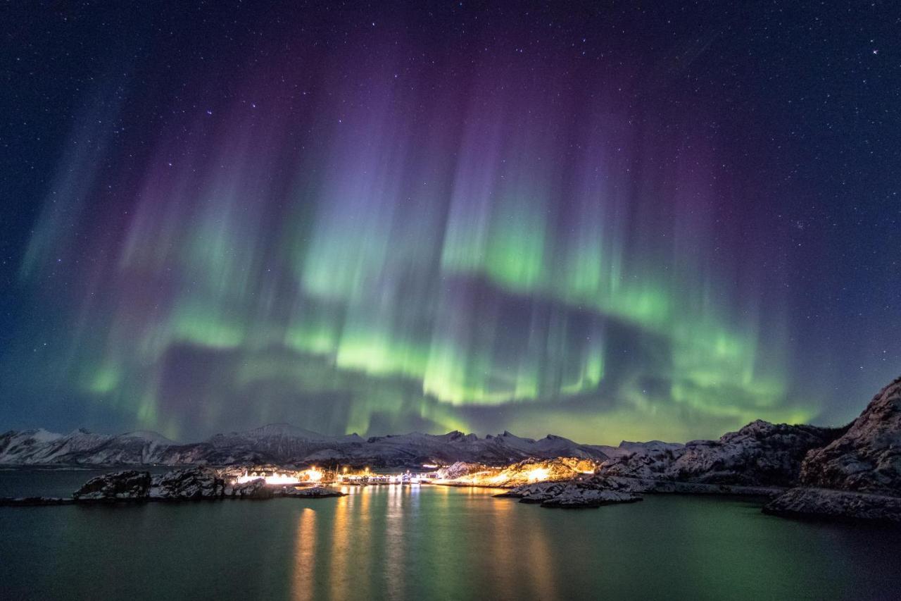 Hotel Hamn I Senja Exteriér fotografie