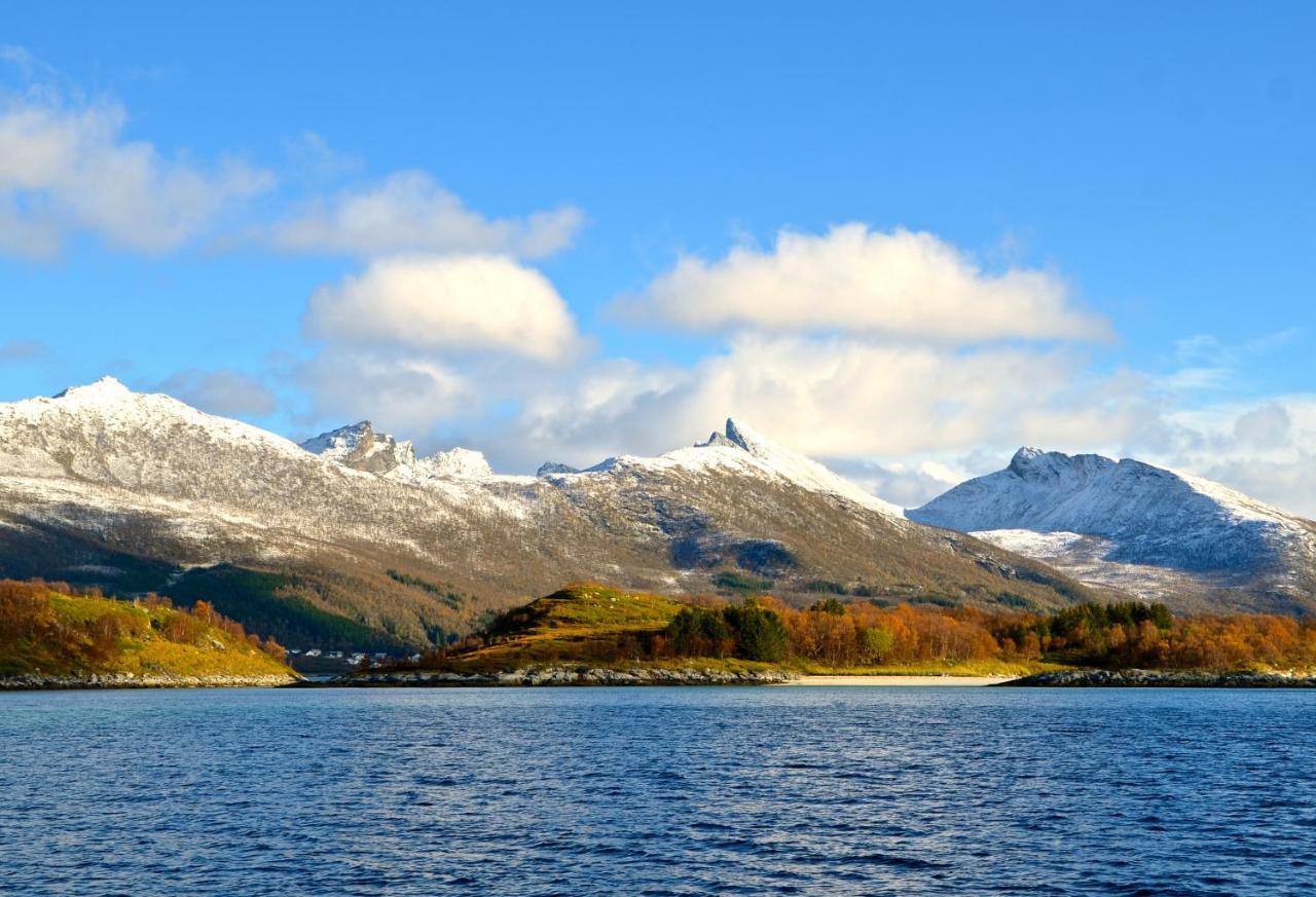 Hotel Hamn I Senja Exteriér fotografie